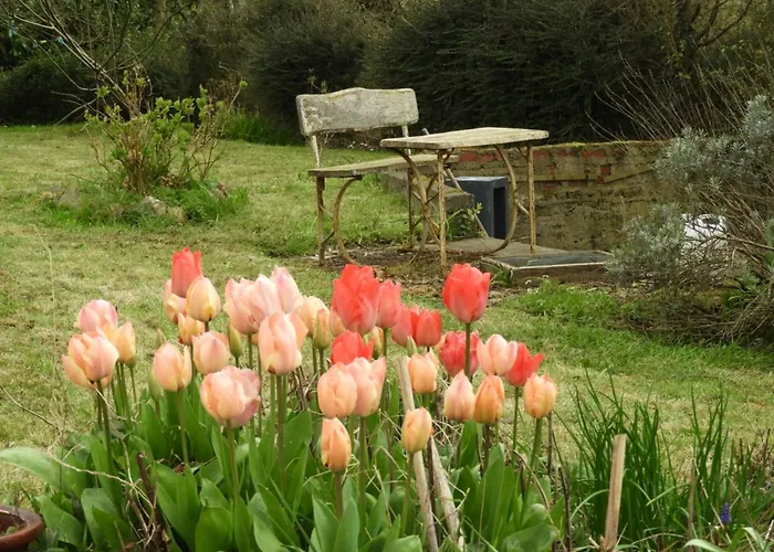 Au Domaine De Sophie D'hotes Manche