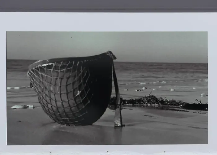 Au Domaine De Sophie D'hotes Manche Bed & Breakfast